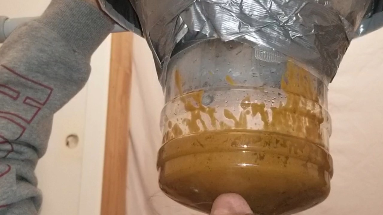 My watery DIARRHEA EXPLOSION chugged by prisoner slave